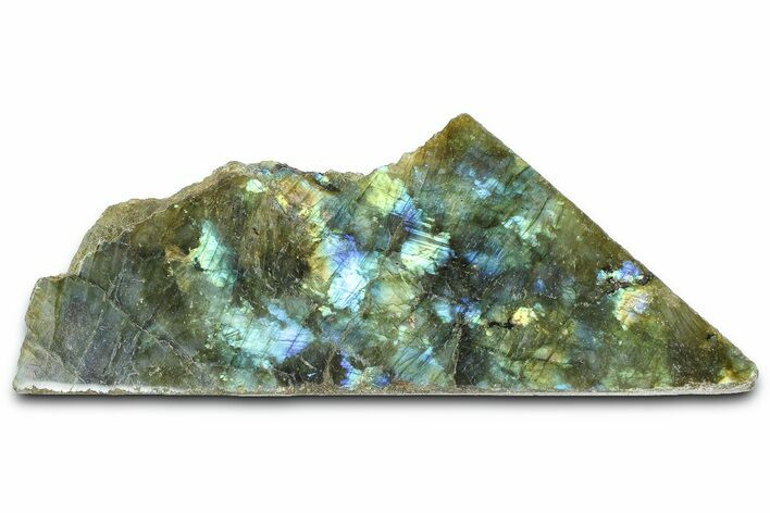 Single Side Polished Labradorite Section - Madagascar #364287
